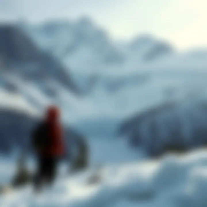Magnificent Avalanche Explorer: 심층 탐구