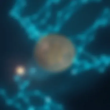 Magnificent 비트코인 투자에 대한 심층 분석