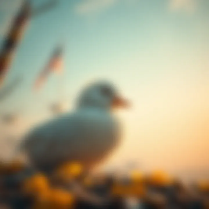 Magnificent Dodo USDT의 깊이 있는 탐구: 암호화폐의 현재와 미래
