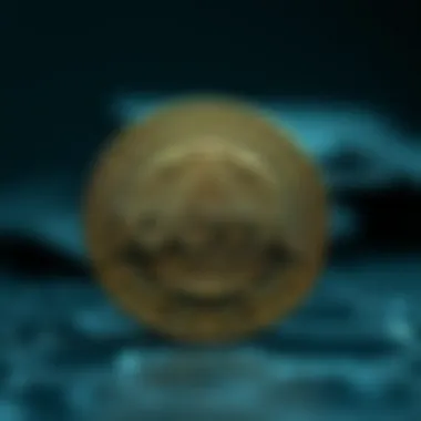 Magnificent Kaspa Coin: 심층 탐구