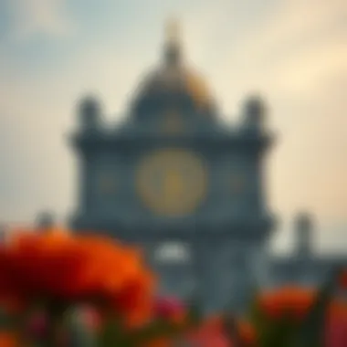 Magnificent 코인 구매의 모든 것