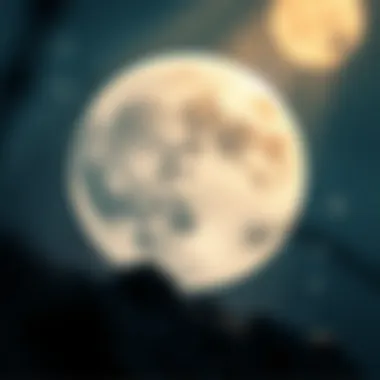 Magnificent Luna 트위터: 암호화폐 커뮤니케이션의 새로운 차원 Magnificent Luna 트위터: 암호화폐 커뮤니케이션의 새로운 차원