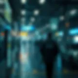암호화폐의 미학과 문화: 밈과 그 영향 Introduction