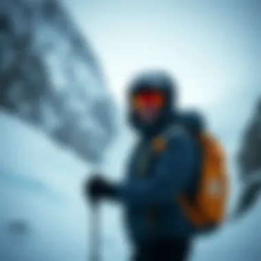 Notable Avalanche Explorer: 심층 탐구