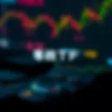 비트코인 레버리지 ETF의 이해와 그 영향 Introduction