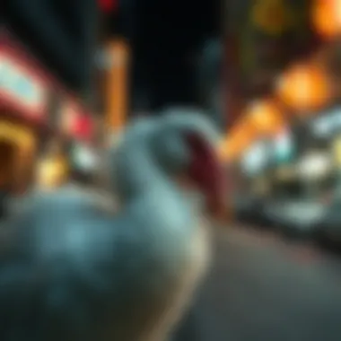 Dodo USDT의 깊이 있는 탐구: 암호화폐의 현재와 미