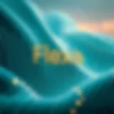 Flexa: 차세대 결제 솔루션으로서의 역할 Introduction