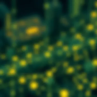 Visual representation of Hedera's innovative blockchain technology