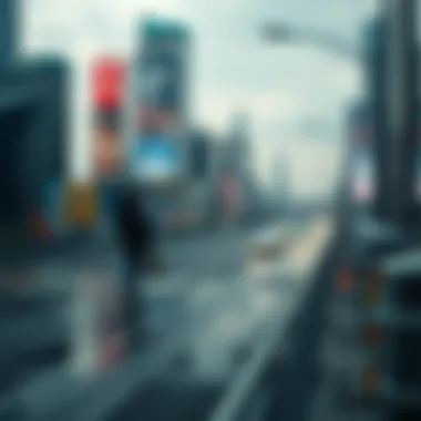 Investment strategies in fluctuating markets