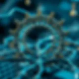 Innovative Blockchain Structure