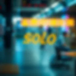 Solo코인: 새로운 투자 기회와 시장 동향 Introduction