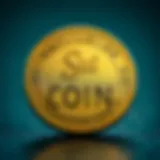 Sui Coin: 미래의 탈중앙화 금융 플랫폼 Introduction