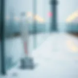 Understanding the concept of temperature finance