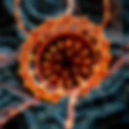 Terraform structure and dynamics representation